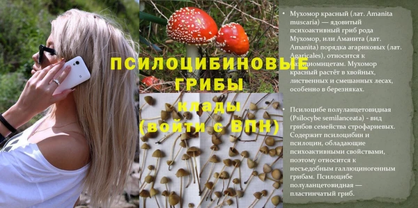 спиды Арсеньев