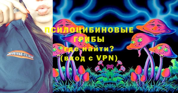 спиды Арсеньев