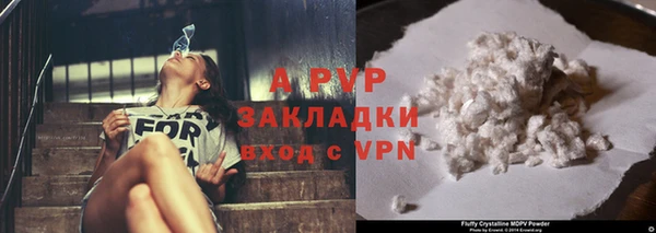PSILOCYBIN Аркадак