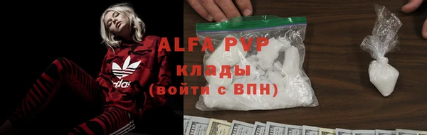 PSILOCYBIN Аркадак