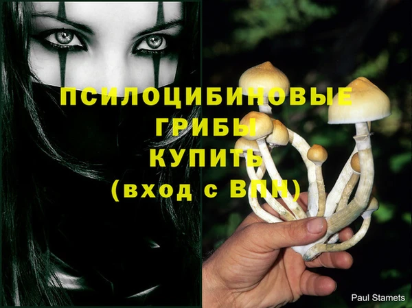 PSILOCYBIN Аркадак