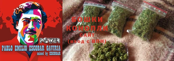 PSILOCYBIN Аркадак