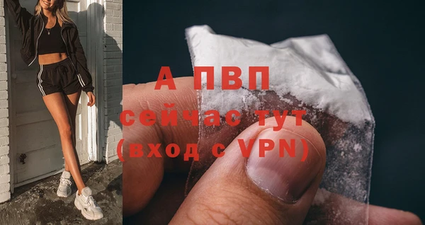 спиды Арсеньев