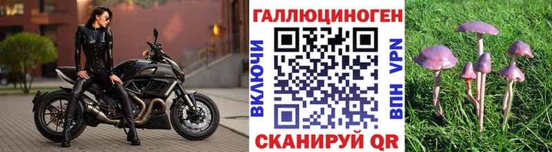 Галлюциногенные грибы Psilocybine cubensis  где можно купить   Рассказово 